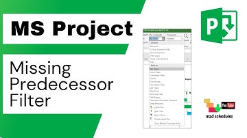 MS Project - How to Create Filter Missing Predecessors