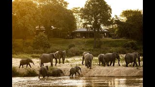 A Day In The Life on Safari at Mala Mala Game Reserve - Sabi Sands, South Africa / African Safari by Wild Wonderful World 202 views 3 months ago 1 minute, 31 seconds