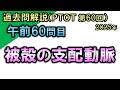 【過去問解説：第60回国家試験-午前60問目】被殻の支配動脈【理学療法士・作業療法士】