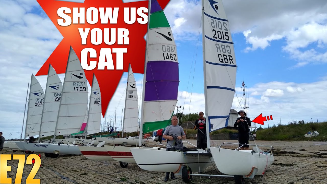Show us your cat Episode 72 USA, UK and Australia