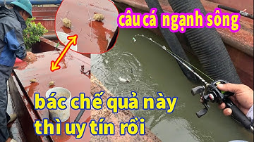đi câu cá ngạnh sông gặp đúng cao thủ - chế cháo quá uy tín