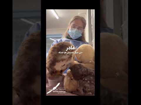 مادر است دیگر مادر زندگی حیوانات قلب روح بدن زنده انسان آدم دکتر احساس خانواده Ai 