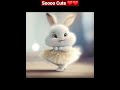 Top 3 cute  rabbit  pictures youtubeshorts shorts