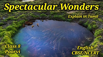 Spectacular Wonders - Explanation | Class 8th English (Poorvi) | Unit 3 | CBSE 2025-26