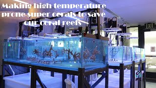 Revolutionary method of saving/restoring corals from rising ocean temperatures. screenshot 4