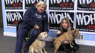 WDHA's Rock N' Ruff - "Sophie & Scrappy"