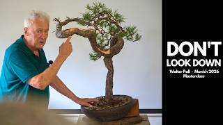 You Can't Fix This Trunk — So Walter Pall Distracts From It | Swedish Pine Yamadori