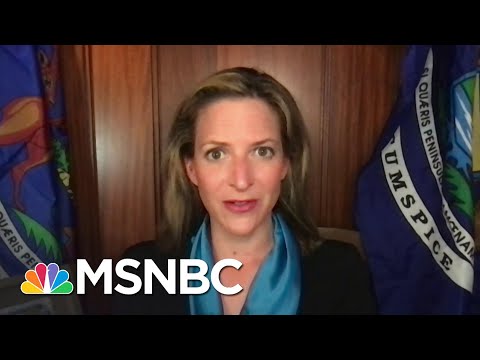 Michigan Secretary of State Vows To Fight Voter Suppression Effort From State GOP | MSNBC