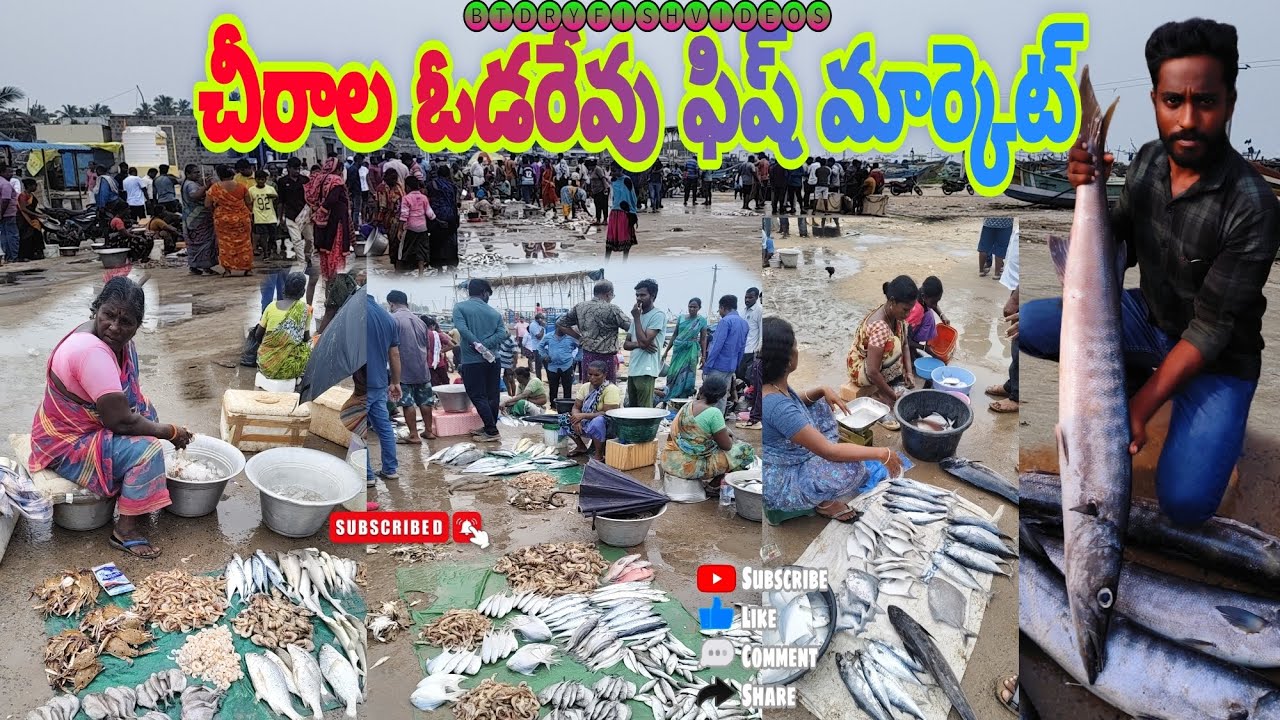చీరాల ఓడరేవు ఫిష్ మార్కెట్ 