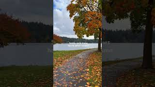 The crips weather, the colors, the novelty of rain. Best time of the year! #seattle