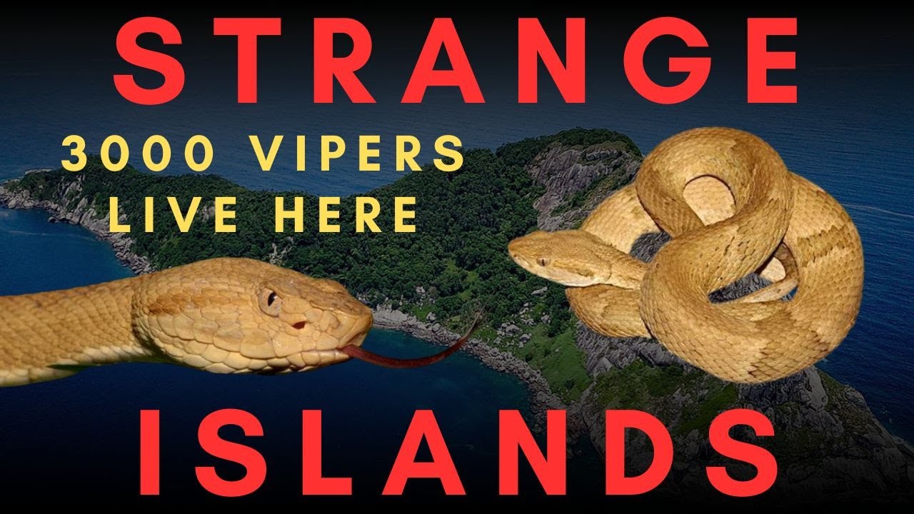 Самые странные острова на Земле