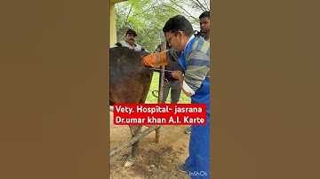 Artificial insemination l dr Umar khan