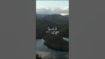 "ويل لكل أفاك أثيم" تلاوة عذبة للشيخ ياسر الدوسري