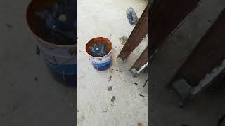 Rat Killing Natural Way