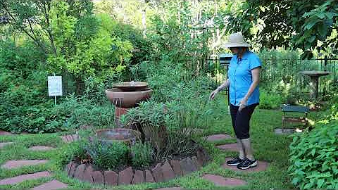 TMNCPC MEMBER TERRI HURLEY'S TOUR OF WILDSCAPE   A...