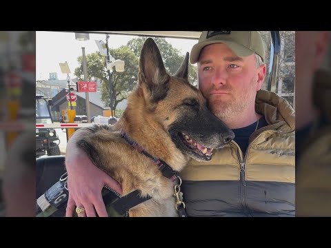 Video: IHeartDogs kunder hjälpte denna veteran få sitt liv tillbaka med en servicehund