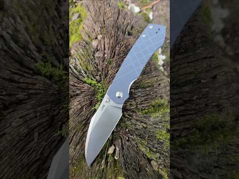 Ray Laconicos CJRB Kestrel