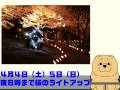 大阪府立花の文化園　桜のライトアップ！ の動画、YouTube動画。