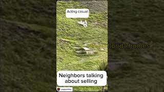 We Are Always Lurking