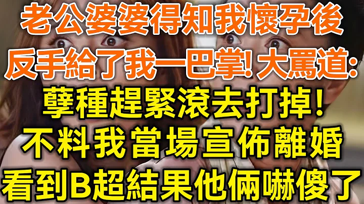 老公婆婆得知我懷孕後！反手給了我一巴掌！大罵道：孽種趕緊滾去打掉！不料我當場宣佈離婚！看到B超結果他倆嚇傻了！#生活經驗 #情感故事 #深夜淺讀 #幸福人生 #深夜淺談 - 天天要聞