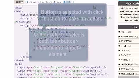 JQUERY Tutorial : jQuery button selector