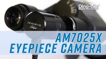 Dino-Eye AM7025X Edge Series 5MP Eyepiece Camera (2020)