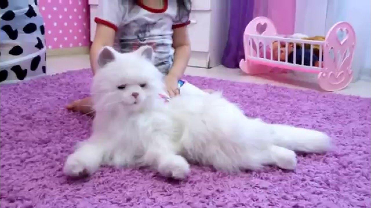 Интерактивная игрушка кошка Лулу FurrealFriends Hasbro - YouTube