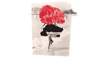 Maria Chiara Argirò Hidden Seas // Nautilus