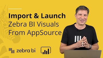 How To Import & Set-Up Zebra BI Visuals From AppSource || Zebra BI Knowledge Base