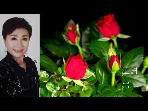 가요강사 이도경 보내는마음 원곡 태진아 구독 좋아요 큰힘이됩니다