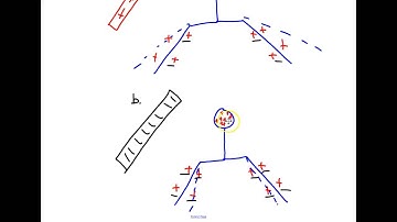 Regents Physics Static Electricity Problem Set #1-4
