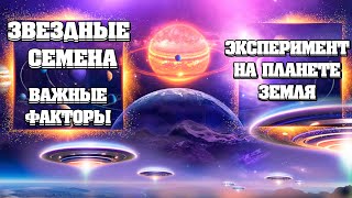 УНИКАЛЬНАЯ ВОЗМОЖНОСТЬ ДЛЯ ВСЕХ. ВЫ НАДЕЖДА ВСЕЛЕННОЙ. ЗВЕЗДНОЕ СЕМЯ.  | Абсолютный Ченнелинг