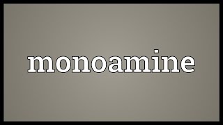 Monoamine Meaning