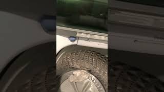 IMG 0025