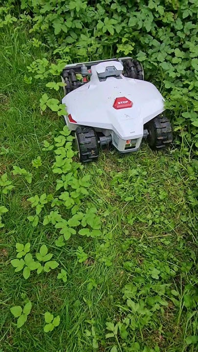 Mammotion Luba 2 Bester Mähroboter 2024 für unwegsames Gelände