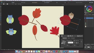 Creating A Half-Drop Repeat Pattern In Affinity Designer
