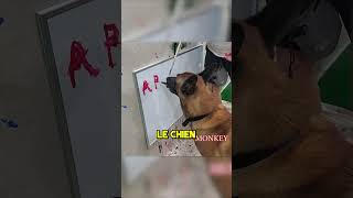 Thumbnail for Ce Chien est Super Intelligent 🧠