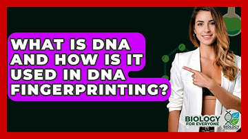 What Is DNA And How Is It Used In DNA Fingerprinting? - Biology For Everyone