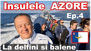 Unde vezi balene in Europa? Insula Pico din Arhipelagul Azore