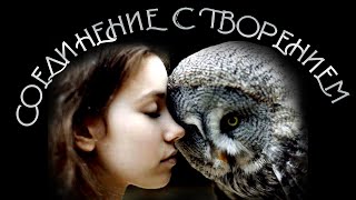 СОЕДИНЕНИЕ С ТВОРЕНИЕМ (Небо и земля в одном человеке) | Кёнигсберг, брат Роман