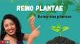 Plantas Estranhas e Maravilhosas do Reino Vegetal ile ilgili video