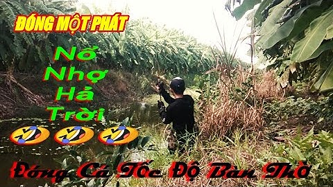 Câu Cá Lóc Rừng bằng Mồi nhái thật,Pha Đóng Cá Tóc Độ Bàn Thờ và Cái Kết,ở phúc bù giờ nha anh em
