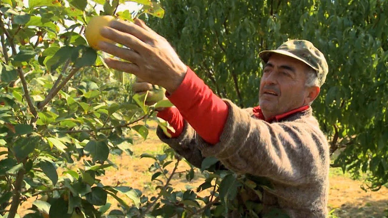 أرمينيا: شراكة مثمرة