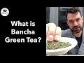 What is bancha tea