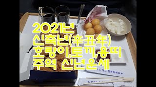 │주역│미리보는 2021년 신축년(辛丑年) 호랑이띠,토끼띠,용띠 주역 신년운세 │도깨비불운명학연구소│fort…