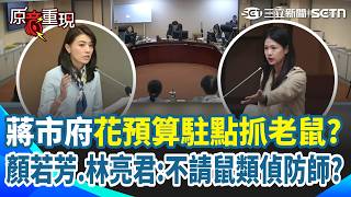 【#原音重現】北市府編預算「請人駐點抓老鼠」！顏若芳、林亮君聯手開砲：為什麼不找鼠類偵防師？｜三立新聞網 SETN.com