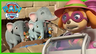 Jungle Rescue Pups save the Elephant family and more! - PAW Patrol Cartoons for Kids Compilation