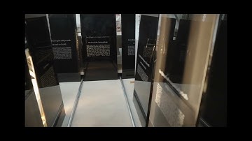 0221 de Ohne einen einzigen Funken Verstand