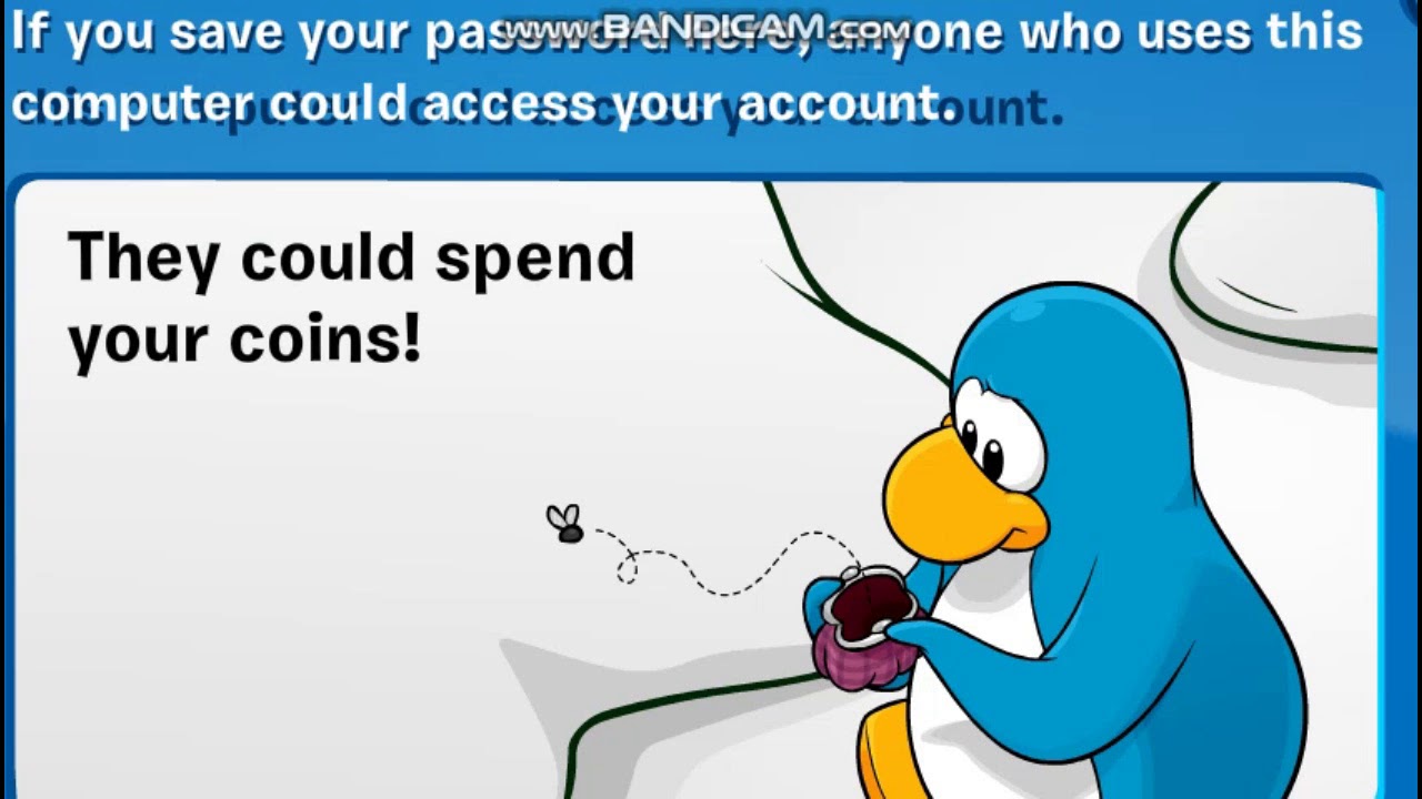 Password here. Скринкаст. Скринкаст пример. Клуб пингвинов персонажи. Пингвин эксплорер 60.