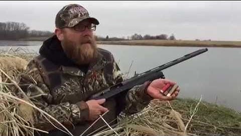 Shotgun loads 2 3/4" vs. 3" vs. 3 1/2" recoil